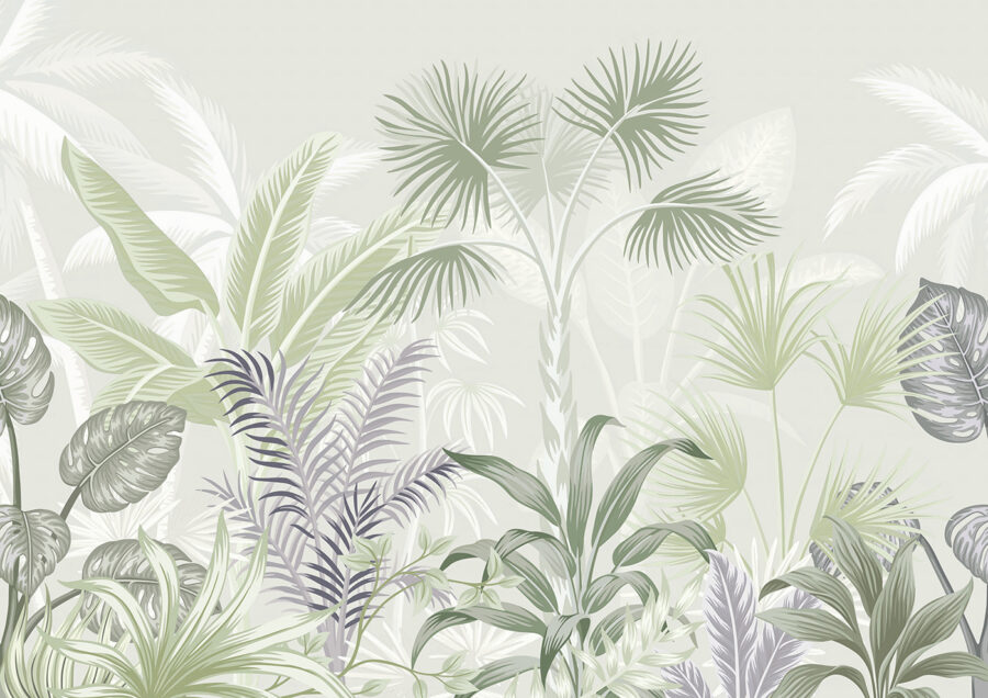 Un grupo de plantas con hojas