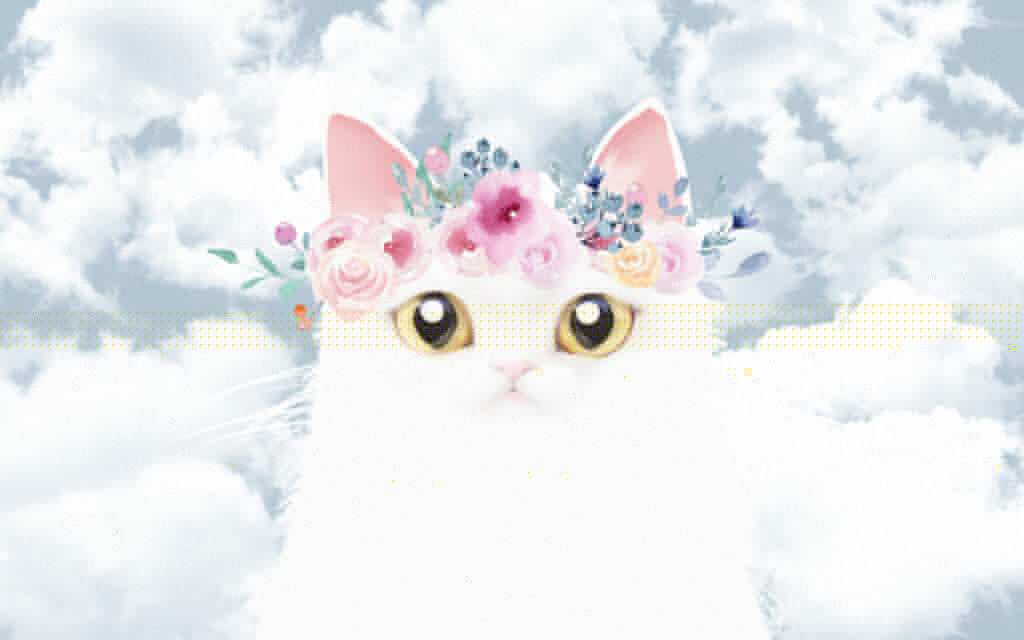 Gato con flores en la cabeza Gato con flores en la cabeza