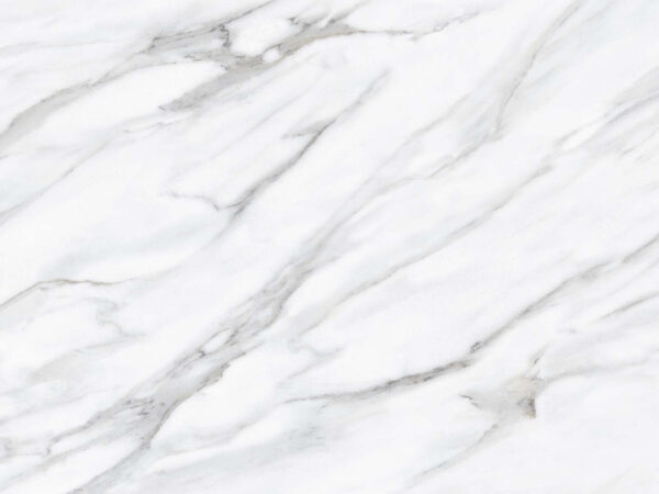 White marble surface with black veins