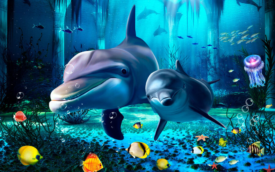 Pareja de delfines nadando en el mar