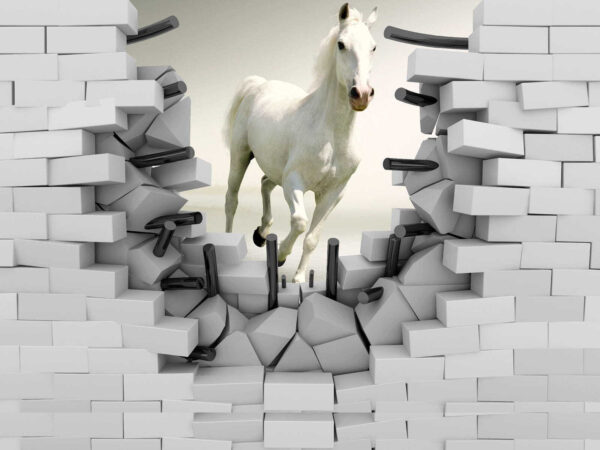 Caballo atravesando un muro Caballo atravesando un muro
