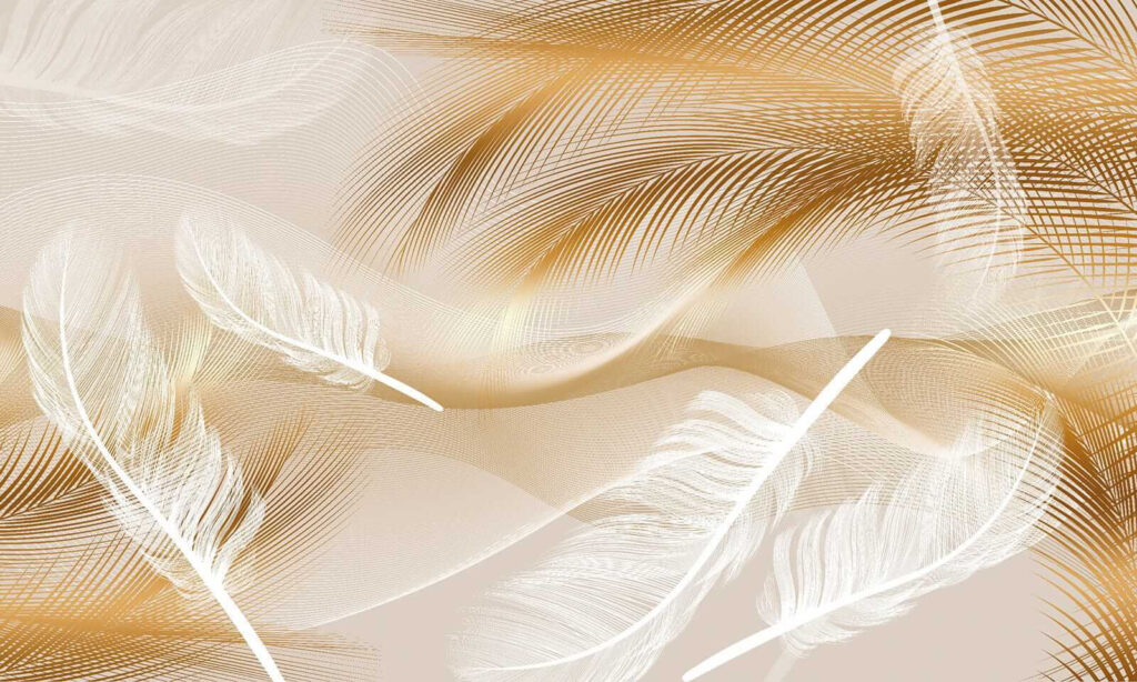 Elegantes plumas en suaves ondas. Elegantes plumas en suaves ondas.