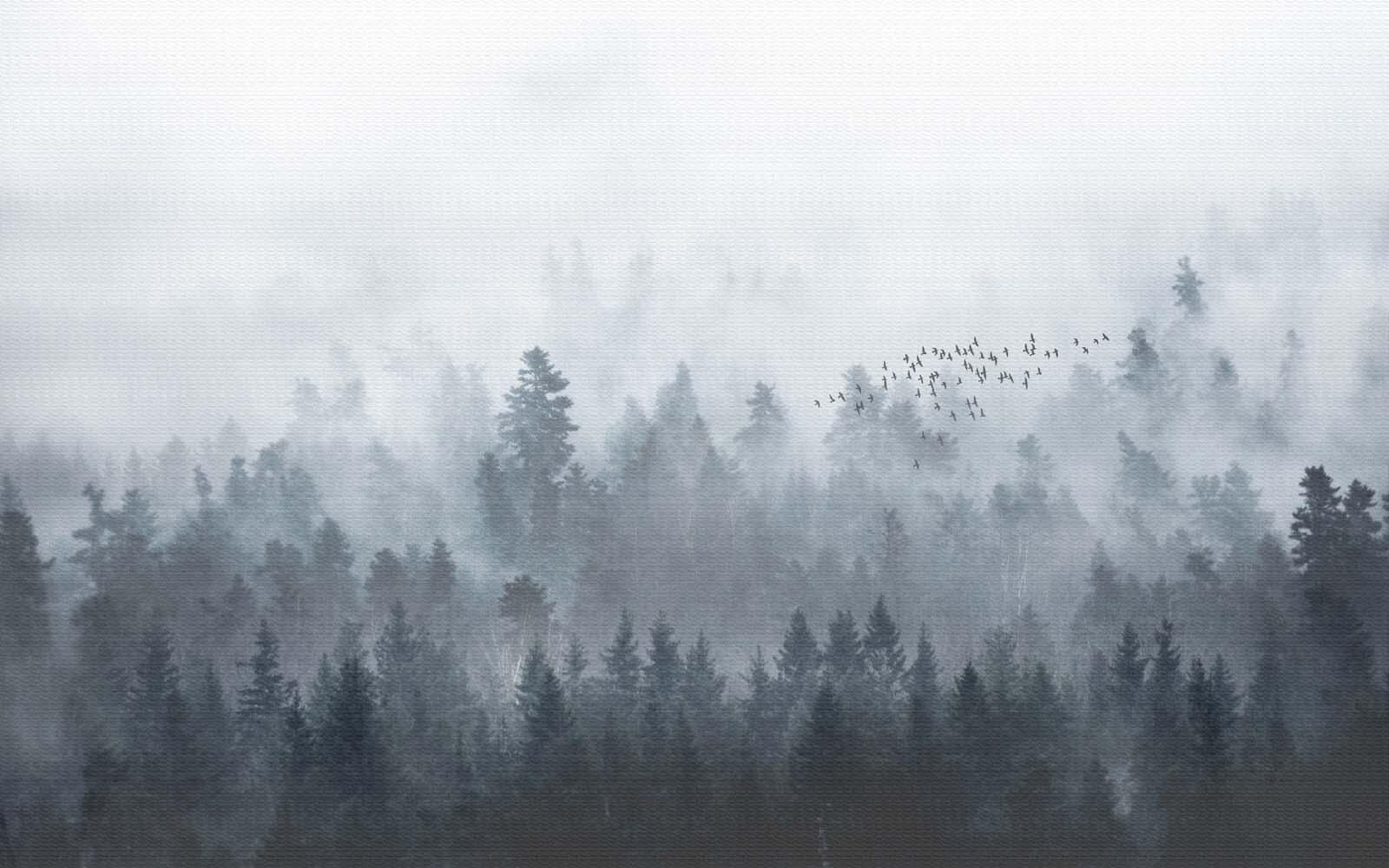 u16629p - Grupo de pájaros volando sobre un bosque - tegory