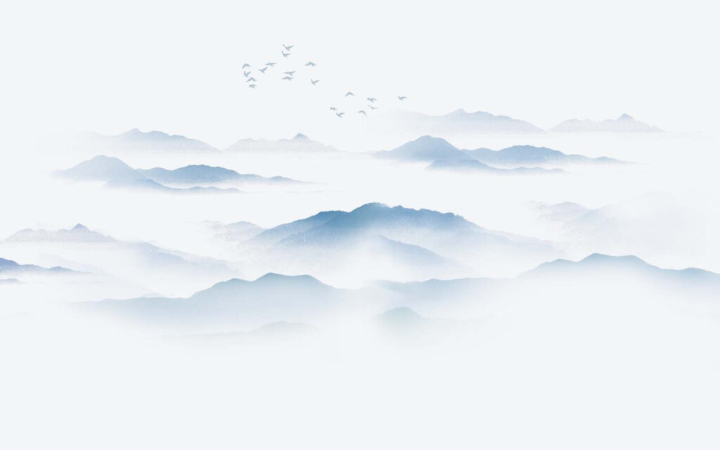 Pájaros volando sobre una cordillera con niebla Pájaros volando sobre una cordillera con niebla