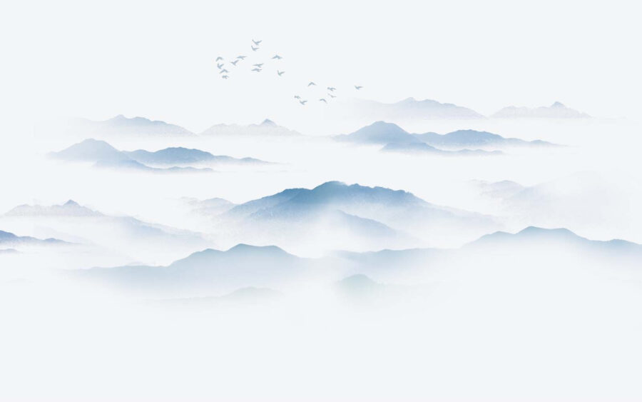 Pájaros volando sobre una cordillera con niebla