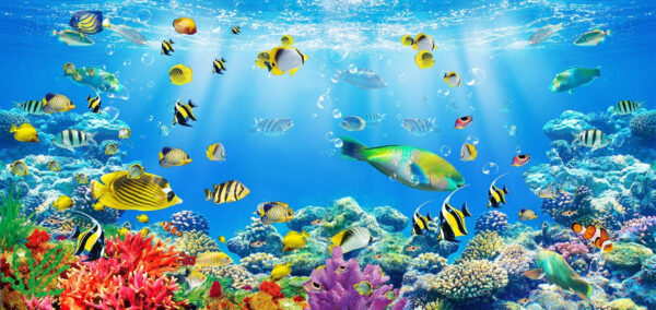 Grupo de peces nadando en el agua Grupo de peces nadando en el agua
