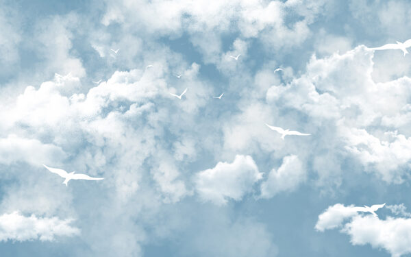 Grupo de pájaros en el cielo Grupo de pájaros en el cielo