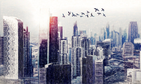 Pájaros volando sobre una ciudad Pájaros volando sobre una ciudad
