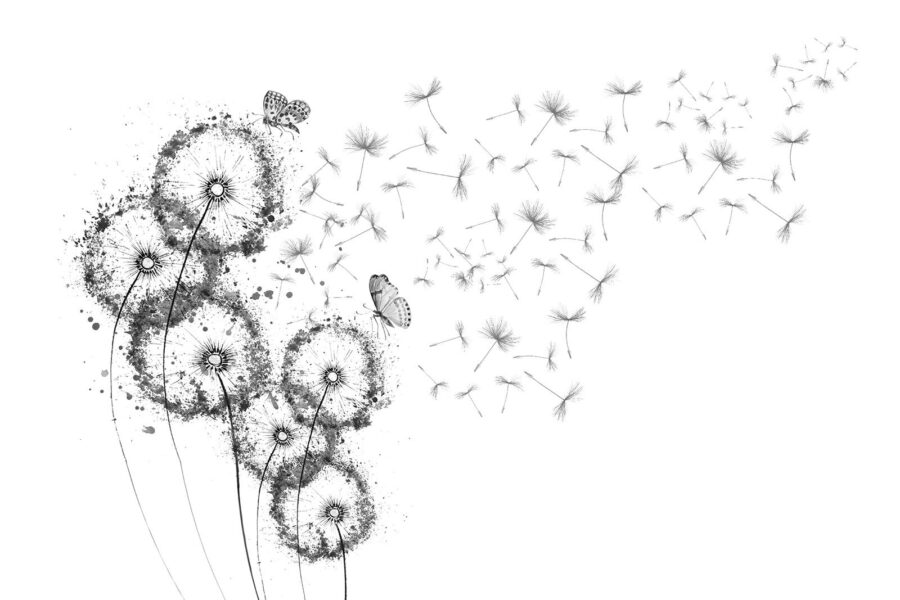 Grupo de mariposas volando en el aire