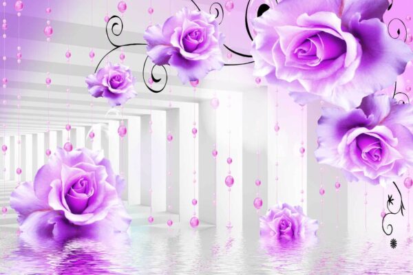 Rosas moradas desde el techo Rosas moradas desde el techo