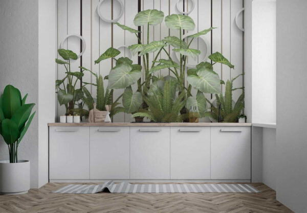 Planta con hojas verdes Planta con hojas verdes