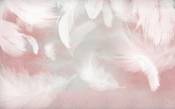 Plumas blancas sobre fondo rosa Plumas blancas sobre fondo rosa