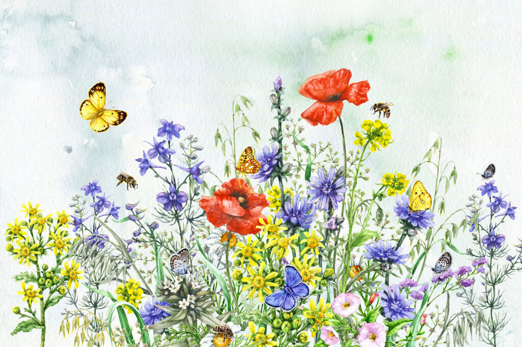 Pintura de flores y mariposas Pintura de flores y mariposas