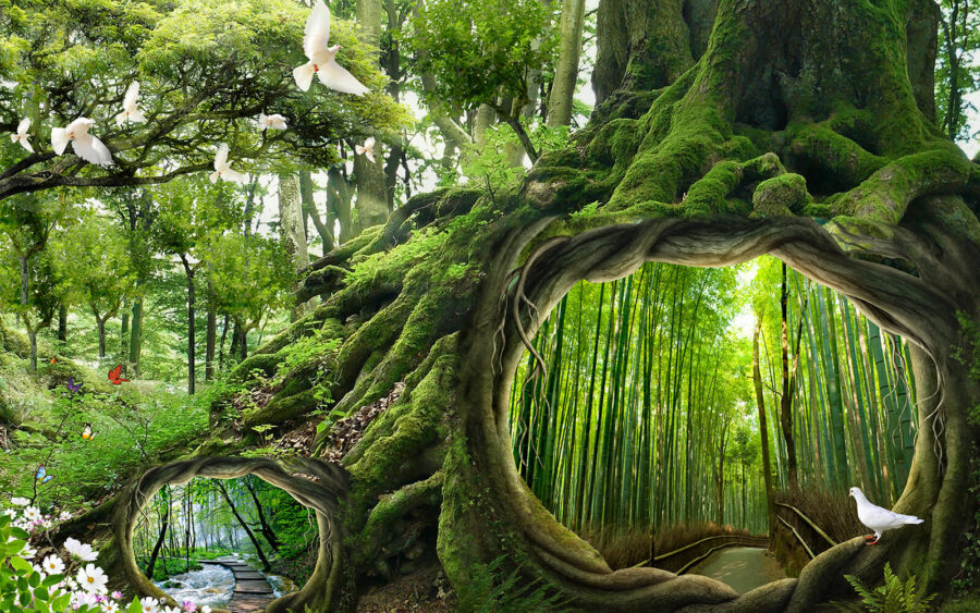 Árbol con un agujero en el centro