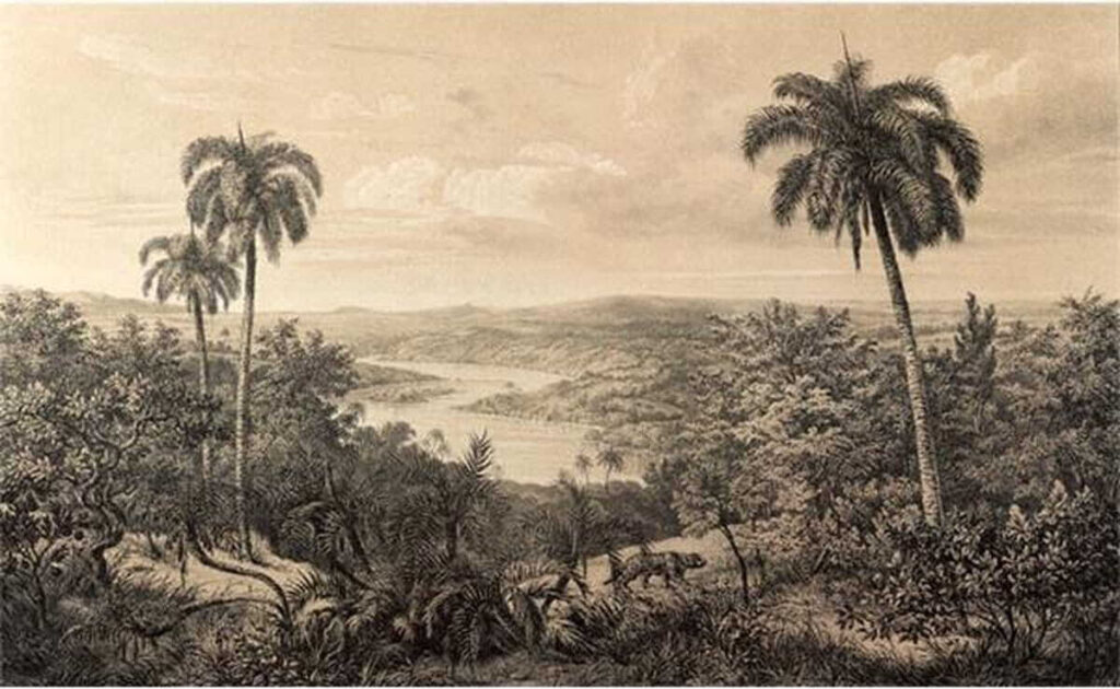 Paisaje con árboles y un río Paisaje con árboles y un río
