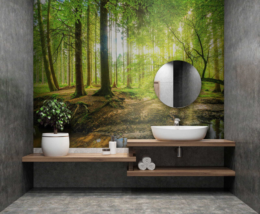 Stream in a forest Stream in a forest