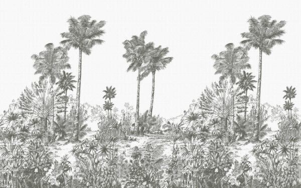 Dibujo de palmeras Dibujo de palmeras
