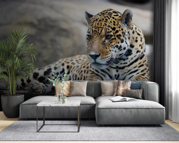 Leopardo tumbado sobre una superficie de madera Leopardo tumbado sobre una superficie de madera