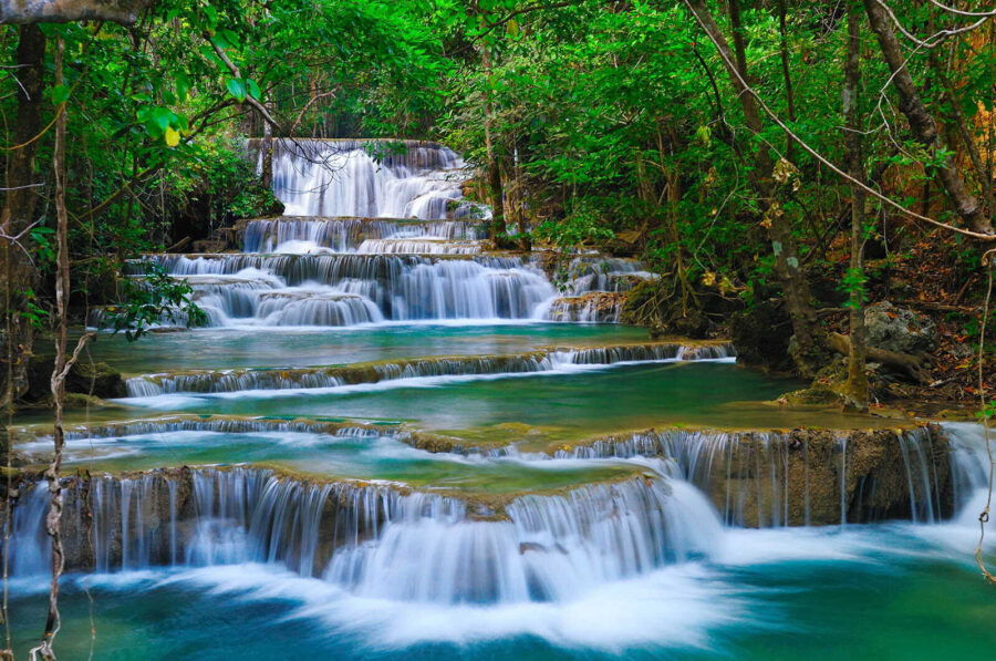 Cascada en un bosque