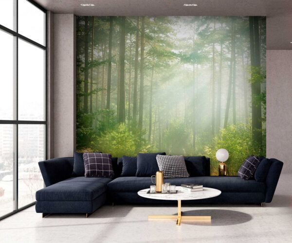 Path through a forest with trees and bushes