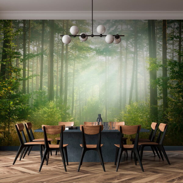 Path through a forest with trees and bushes