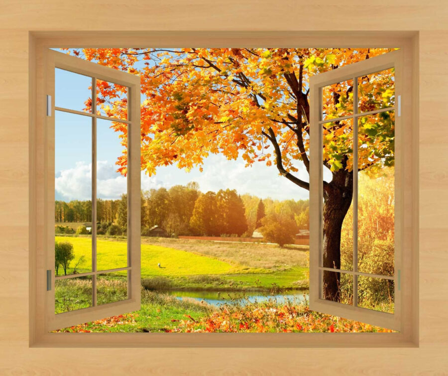Ventana con árboles y un río Ventana con árboles y un río