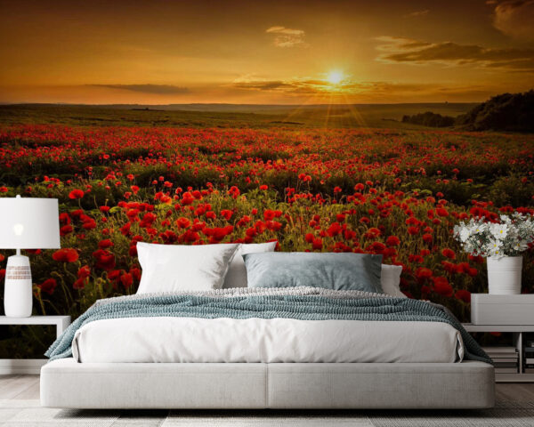 Campo de flores rojas Campo de flores rojas
