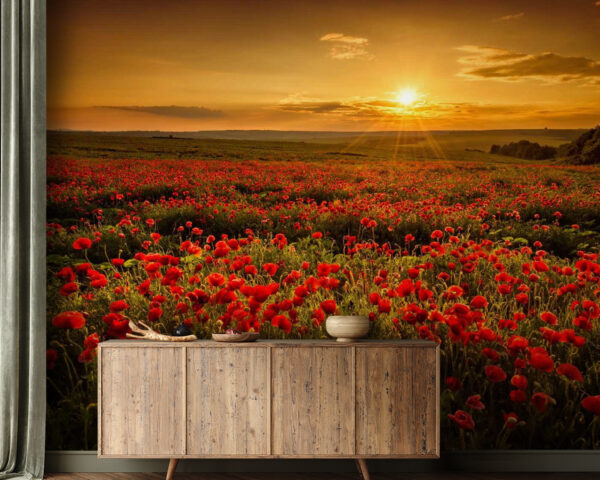Campo de flores rojas Campo de flores rojas
