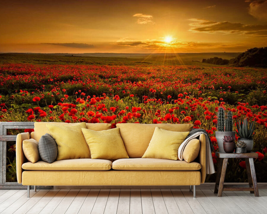 Campo de flores rojas