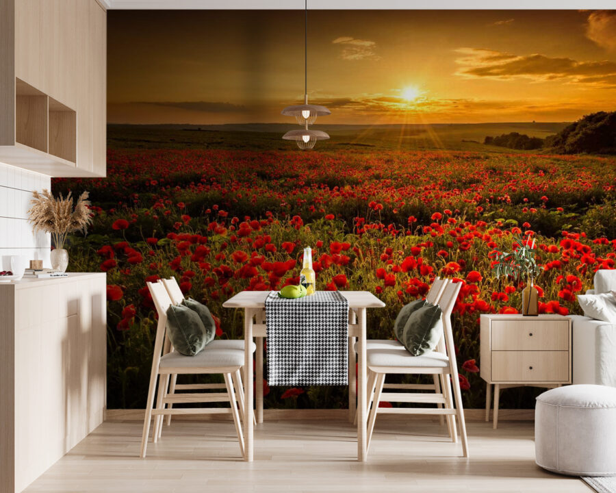 Campo de flores rojas