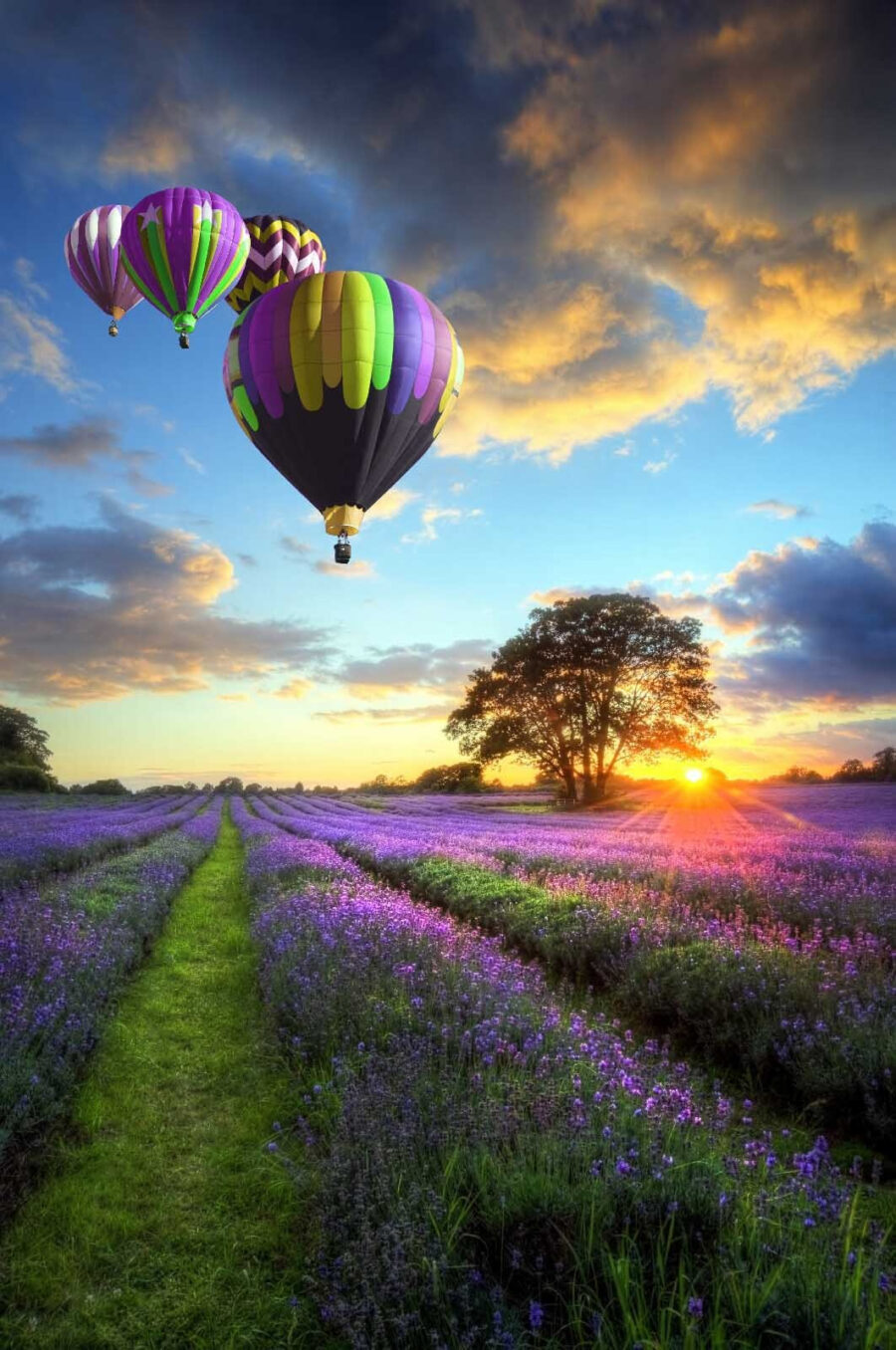 Grupo de globos aerostáticos volando sobre un campo de flores