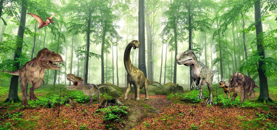 Fotomurales Grupo de dinosaurios en un bosque - Imagen 12