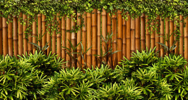 Valla de bambú con plantas Valla de bambú con plantas