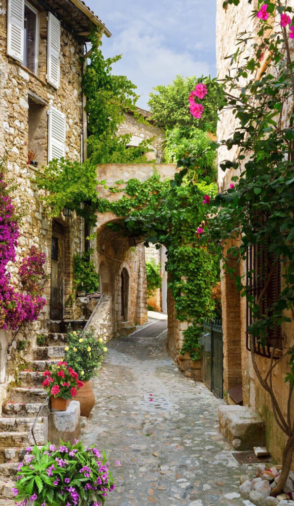 Callejón de piedra con flores y plantas Callejón de piedra con flores y plantas
