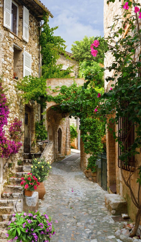 Callejón de piedra con flores y plantas Callejón de piedra con flores y plantas