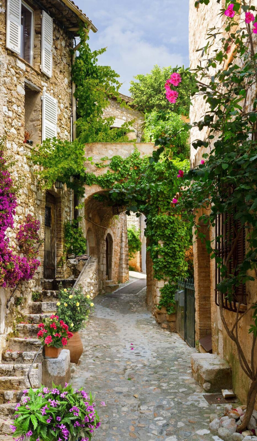 Fotomurales Callejón de piedra con flores y plantas - Imagen 2