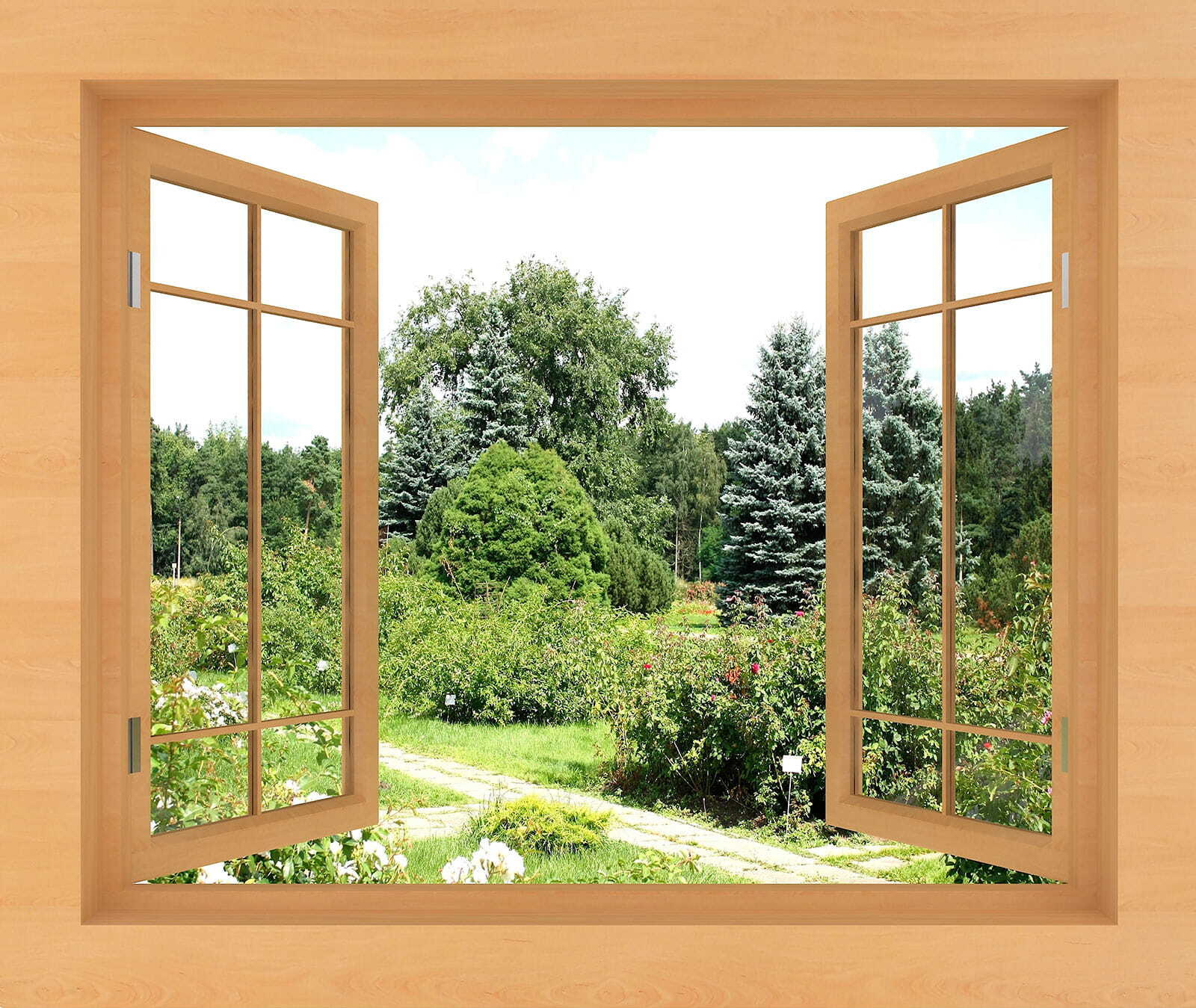 Window with trees and a path through it Window with trees and a path through it