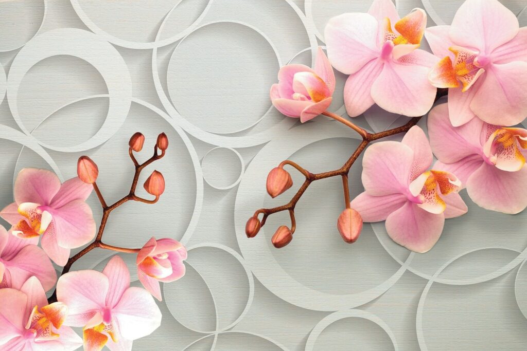 Delicadas flores sobre un fondo suave Delicadas flores sobre un fondo suave