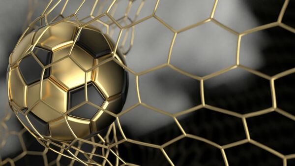 Balón de fútbol en una red Balón de fútbol en una red