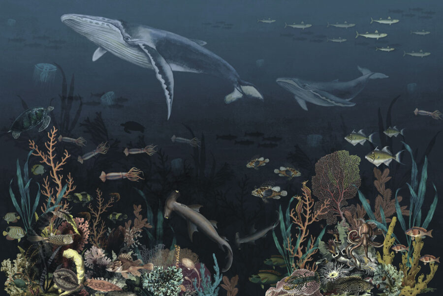 Grupo de peces y ballenas nadando en el océano