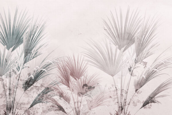 Elegantes hojas de palmera sobre un fondo suave. Elegantes hojas de palmera sobre un fondo suave.