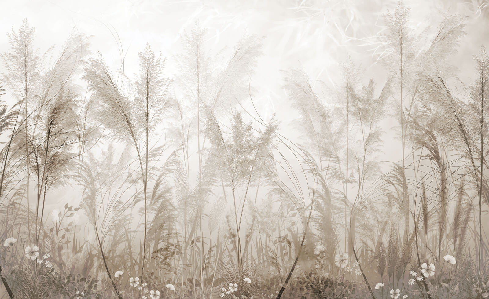 Field of grass with flowers