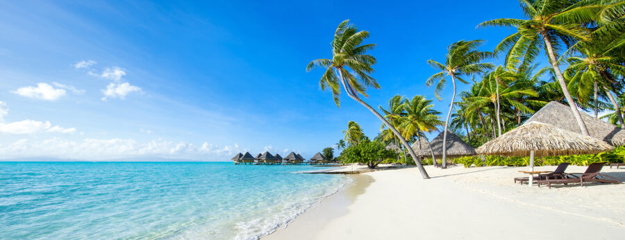 Playa con palmeras y cabañas