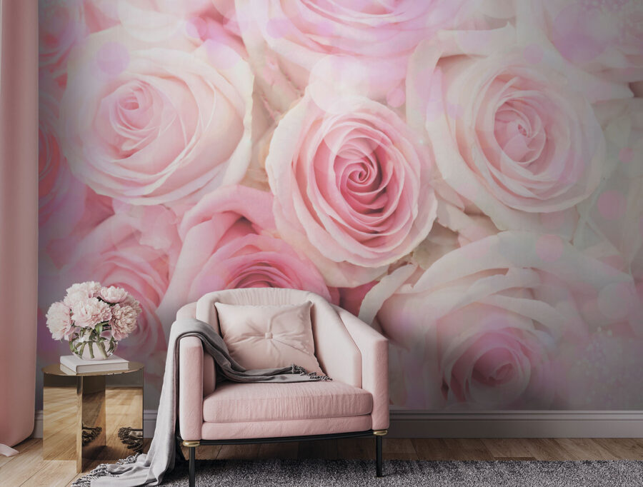 Grupo de rosas rosadas
