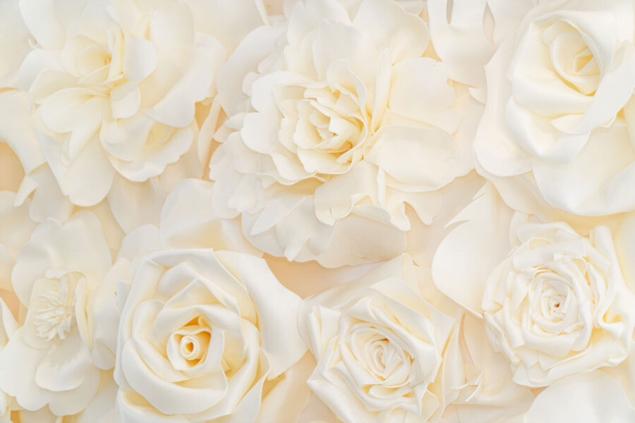 Grupo de flores blancas