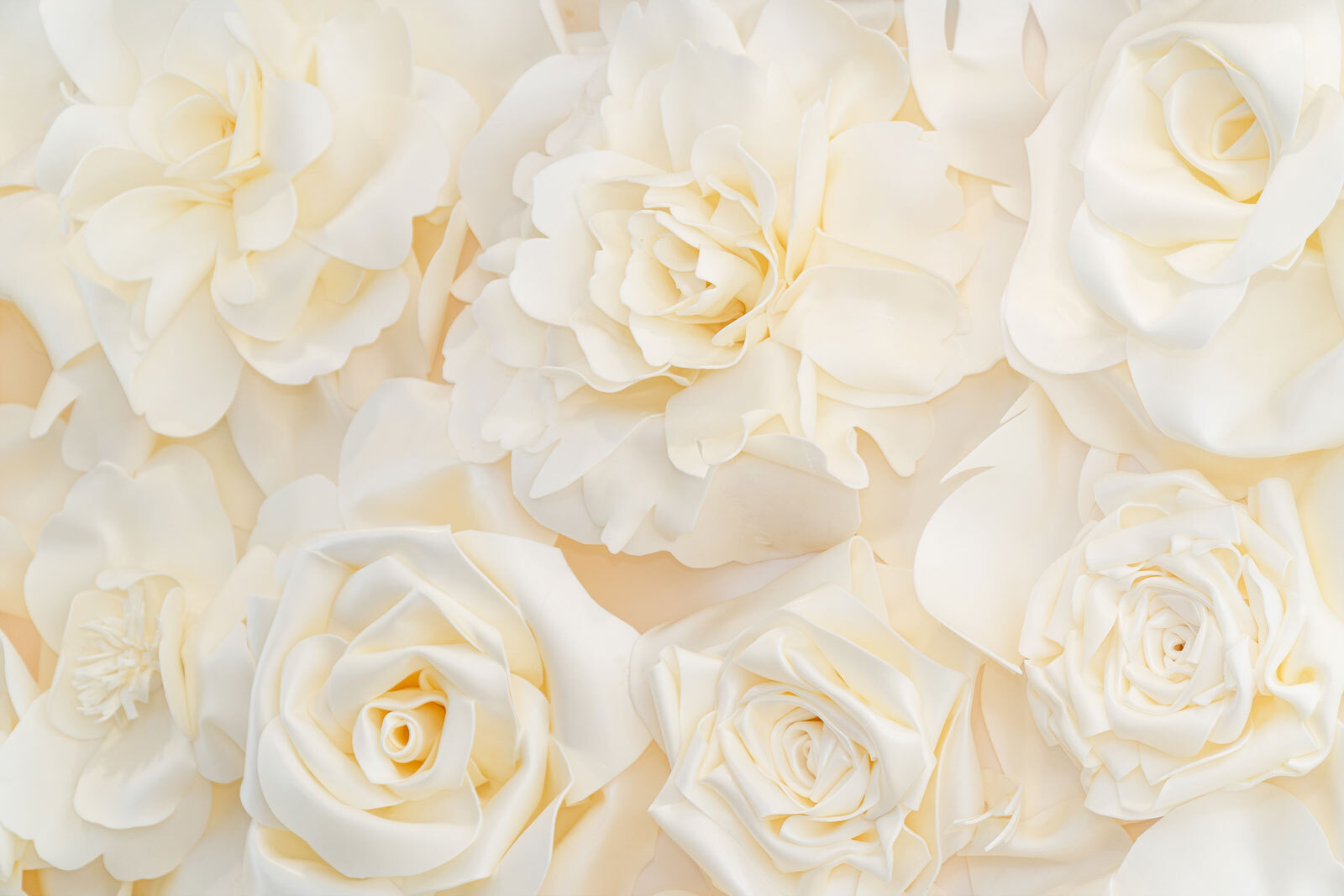 Group of white flowers