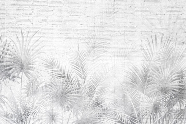 Fondo blanco y gris con hojas de palmera Fondo blanco y gris con hojas de palmera