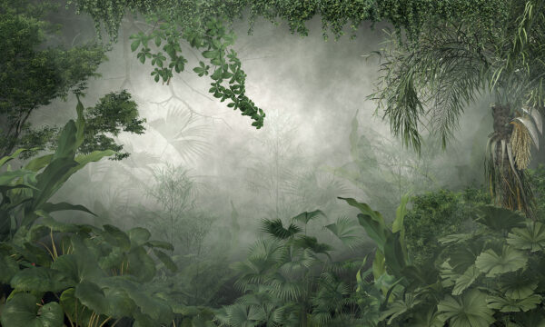 Bosque brumoso con plantas y árboles Bosque brumoso con plantas y árboles