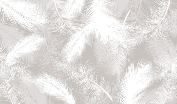 Plumas blancas sobre fondo gris Plumas blancas sobre fondo gris
