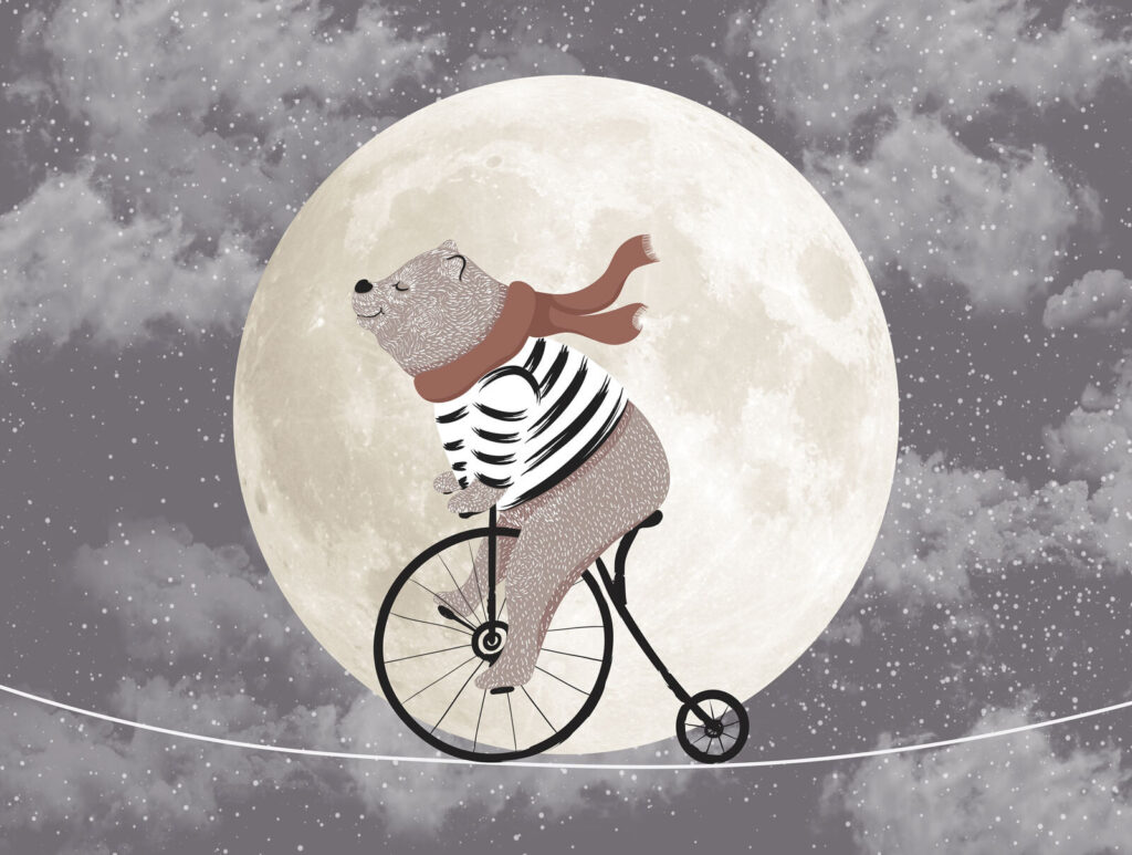 Bear riding a bicycle Bear riding a bicycle
